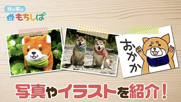 忠犬もちしば Youtube公式チャンネルにて新企画が配信決定 おかか役 西山宏太朗インタビュー 画像3 5 Webnewtype